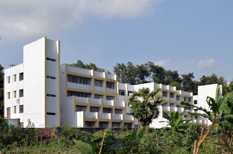 photo-1661112343792-217980cf7c26