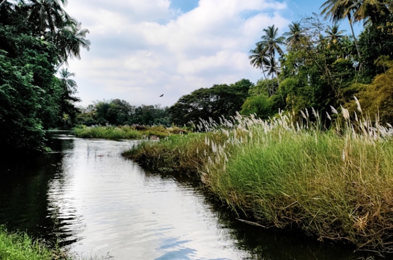 photo-1662530136142-d79ada25a896