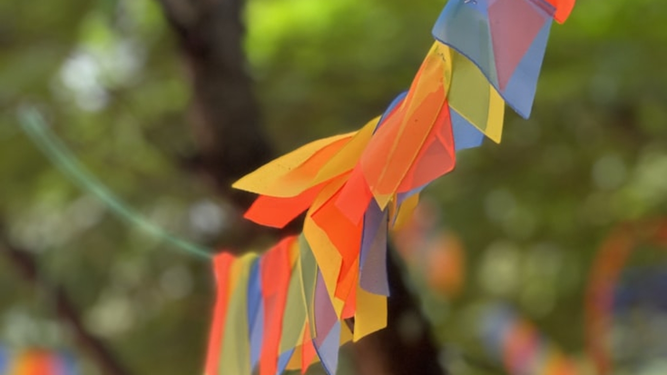 photo-1662533369961-a900fb0c6682