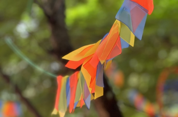 photo-1662533369961-a900fb0c6682