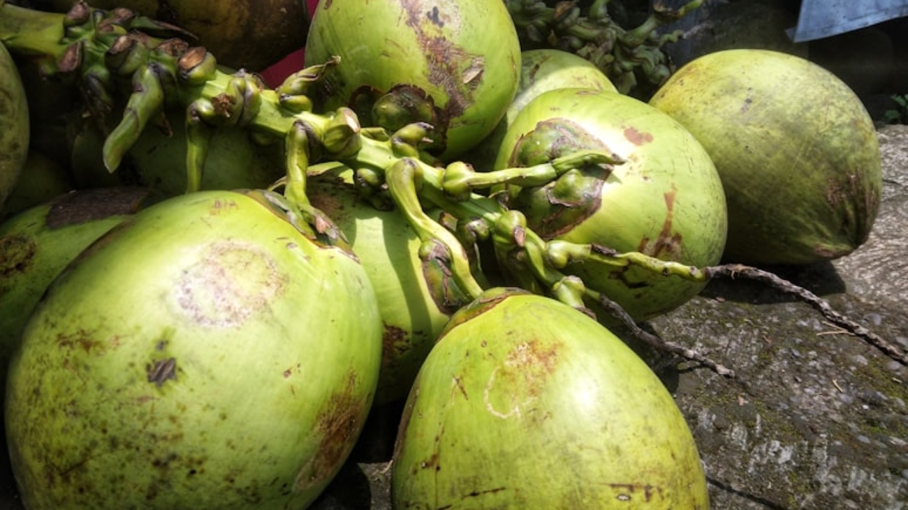 photo-1667877411215-80a36cf607e4