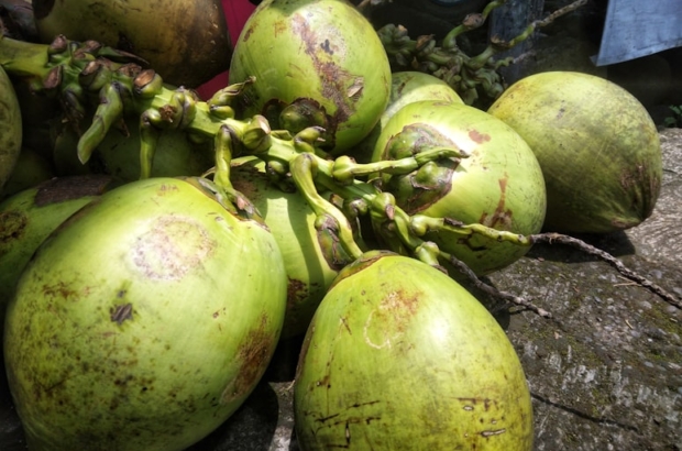 photo-1667877411215-80a36cf607e4