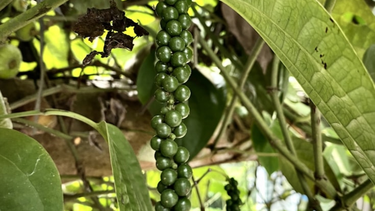 photo-1668916938366-dd16c56719e8