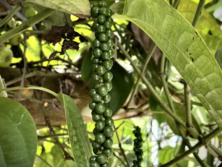 photo-1668916938366-dd16c56719e8