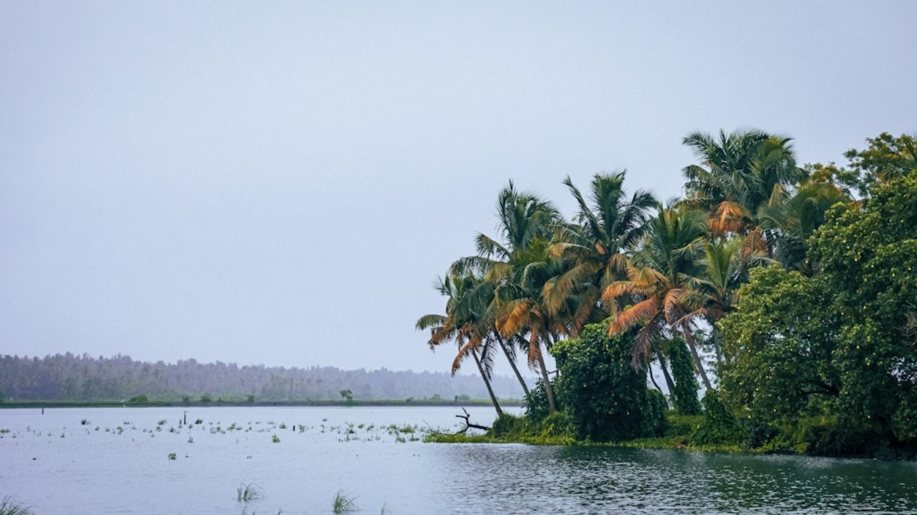 photo-1671461842561-5b24d7cffeea