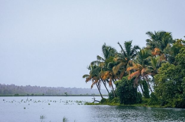 photo-1671461842561-5b24d7cffeea