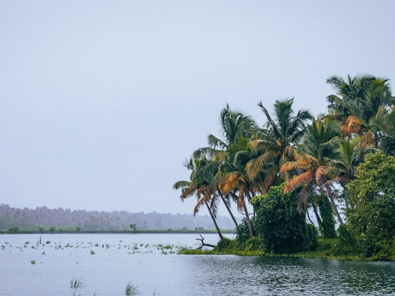 photo-1671461842561-5b24d7cffeea