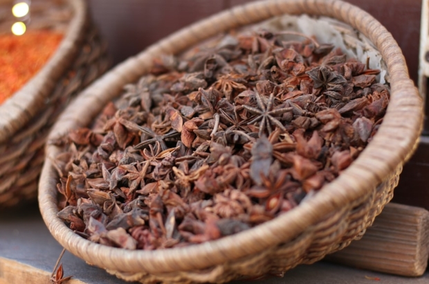 photo-1679744951863-85dbd8ac386e