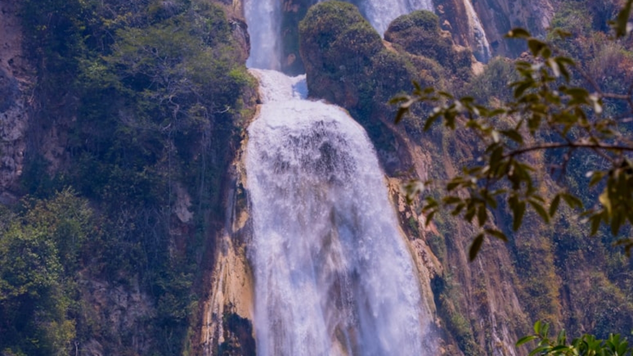 photo-1682449815387-d3d75f685e37