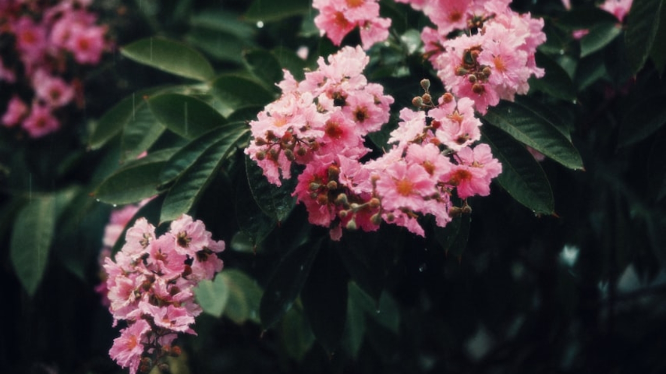 photo-1683176737931-7cbbabed2f2c