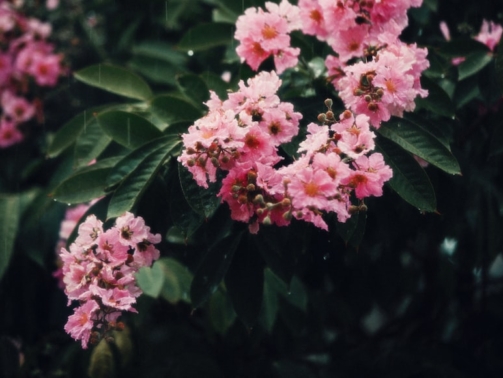 photo-1683176737931-7cbbabed2f2c