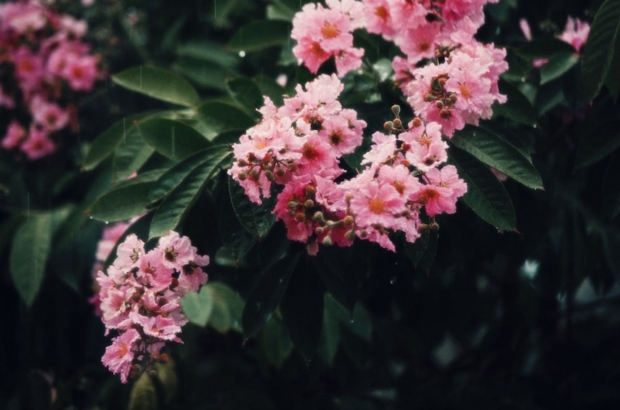 photo-1683176737931-7cbbabed2f2c