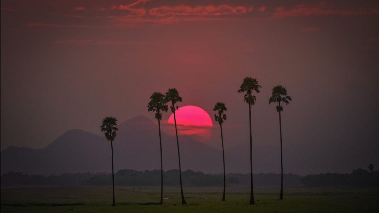 photo-1683956424778-c3aa766c40c9