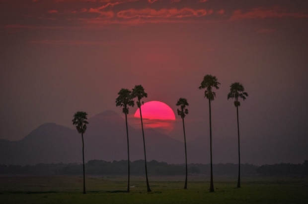 photo-1683956424778-c3aa766c40c9