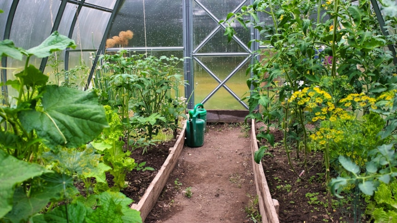 photo-1692040291603-14d5176a3562