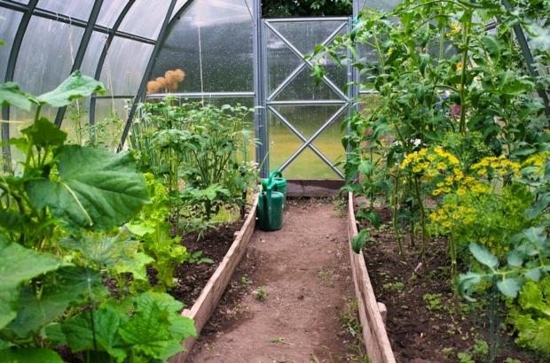 photo-1692040291603-14d5176a3562