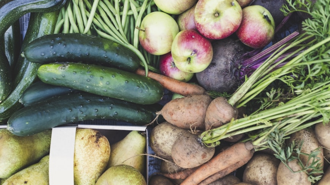 photo-1694076544200-08114d9f2ef6