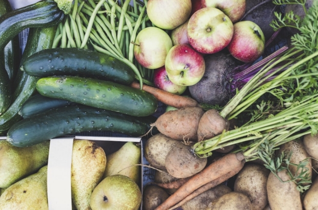 photo-1694076544200-08114d9f2ef6