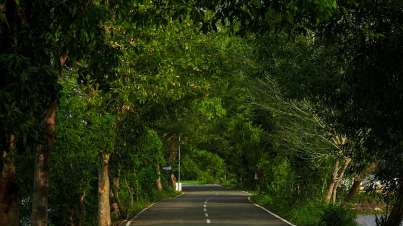 photo-1697858481163-90cc21503145