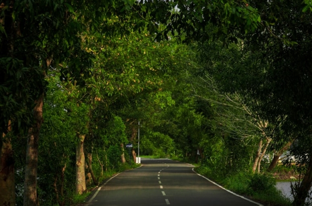 photo-1697858481163-90cc21503145