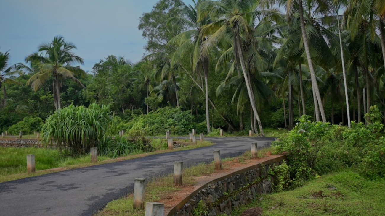 photo-1700360898627-584f17c6c6aa