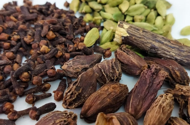 photo-1701190883042-c4c09cd4ed1a