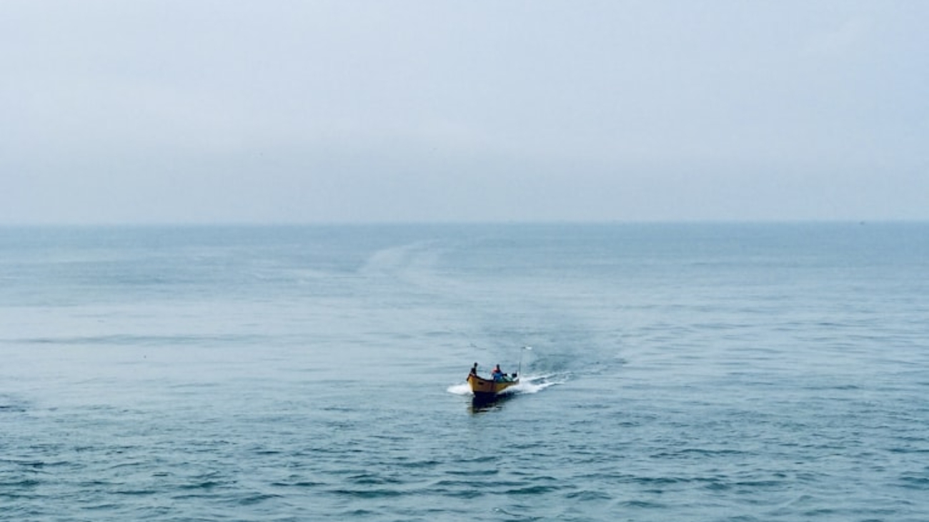 photo-1701770576835-fe53316b3504