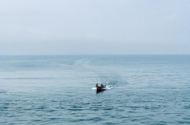 photo-1701770576835-fe53316b3504