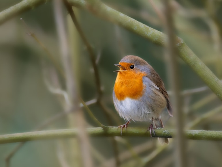 photo-1702887684175-4fa9f00277b9