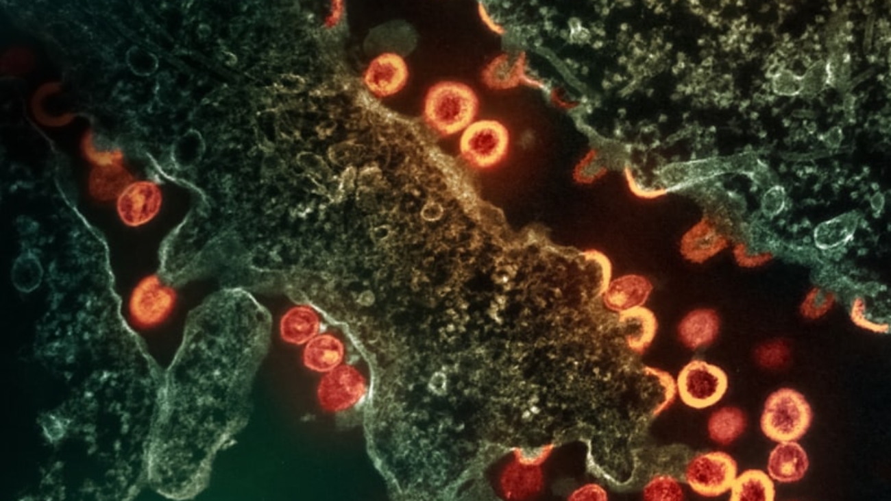 photo-1706643568958-06584a94c754