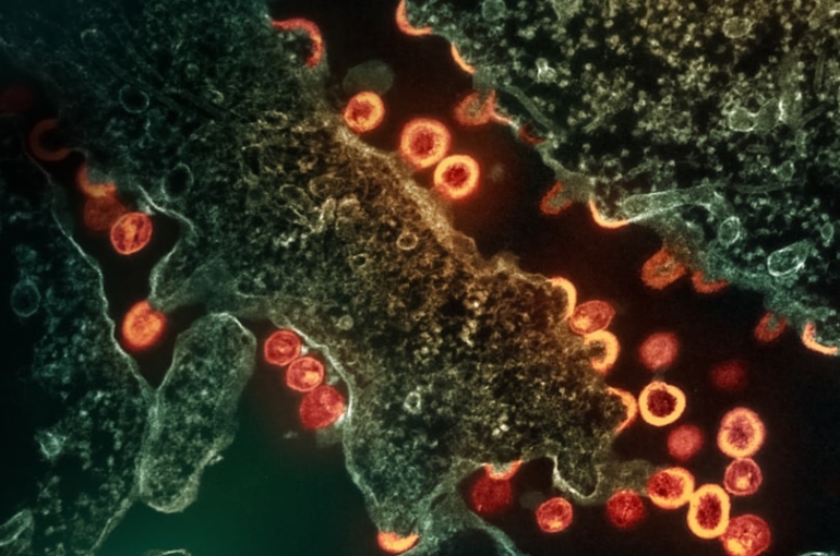 photo-1706643568958-06584a94c754