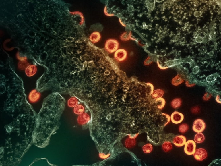 photo-1706643568958-06584a94c754