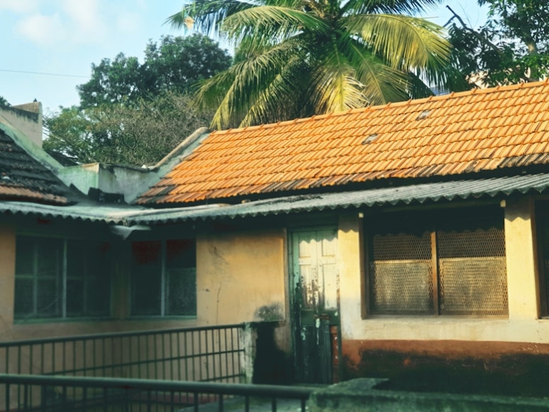 photo-1706937110129-fd222ac8deb7