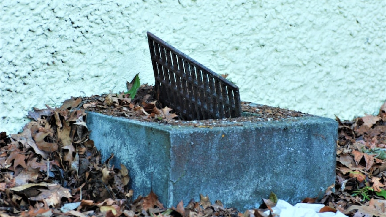 photo-1707636497310-0d65e5f4d79a