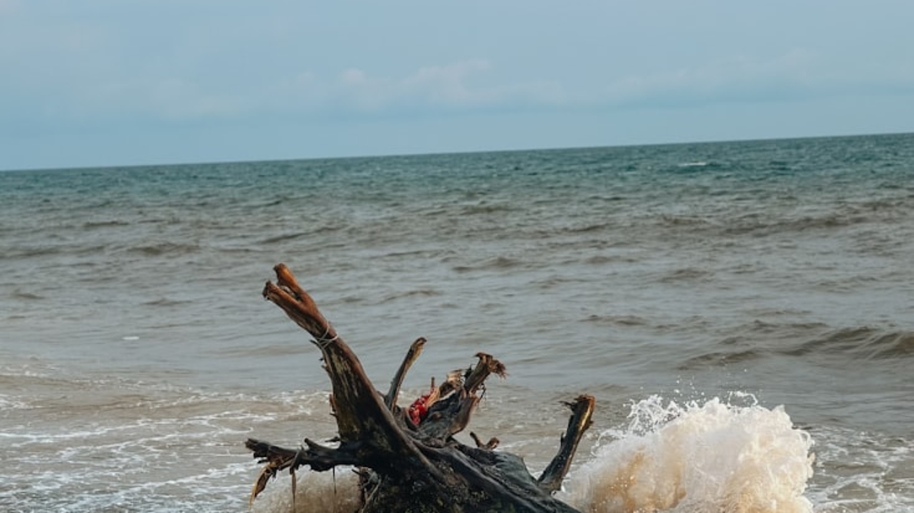 photo-1713370695063-b94b126e5826