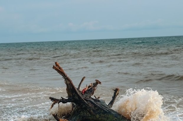 photo-1713370695063-b94b126e5826