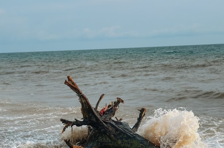 photo-1713370695063-b94b126e5826