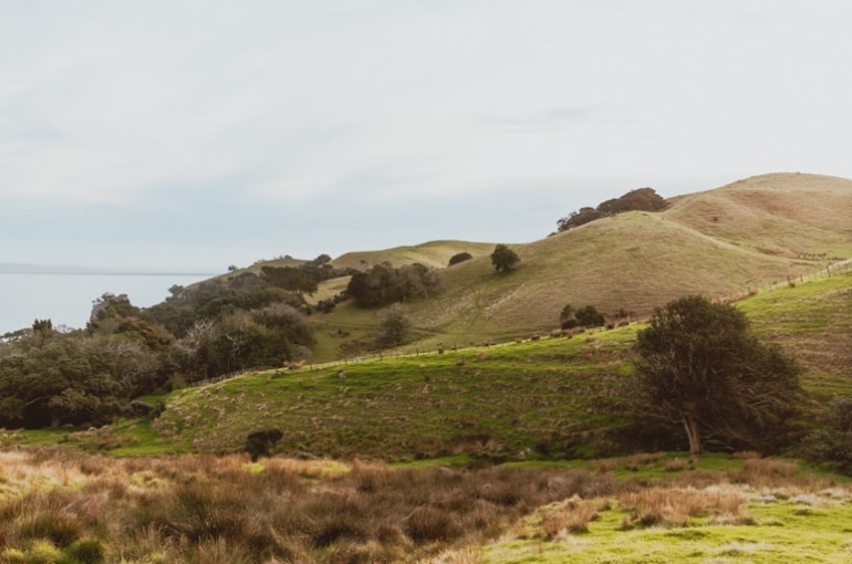 photo-1717737860149-4706d718c7b1