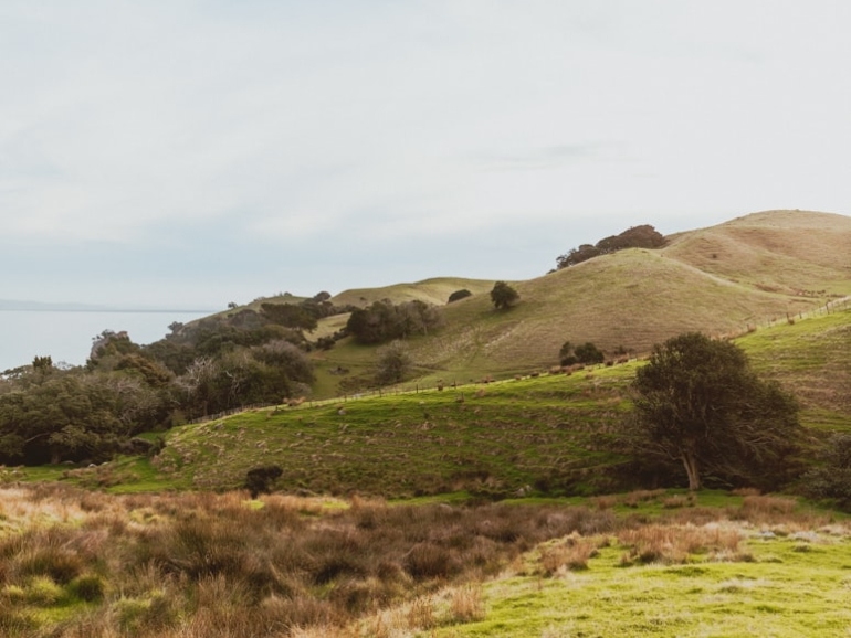 photo-1717737860149-4706d718c7b1