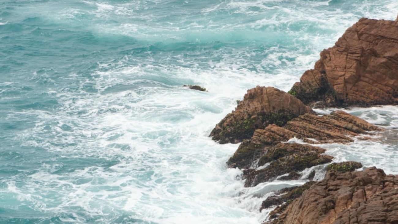 photo-1722923864120-5bbe9a57026a