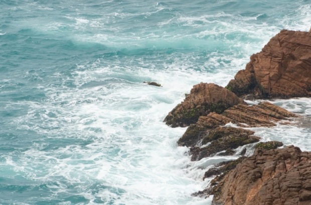 photo-1722923864120-5bbe9a57026a