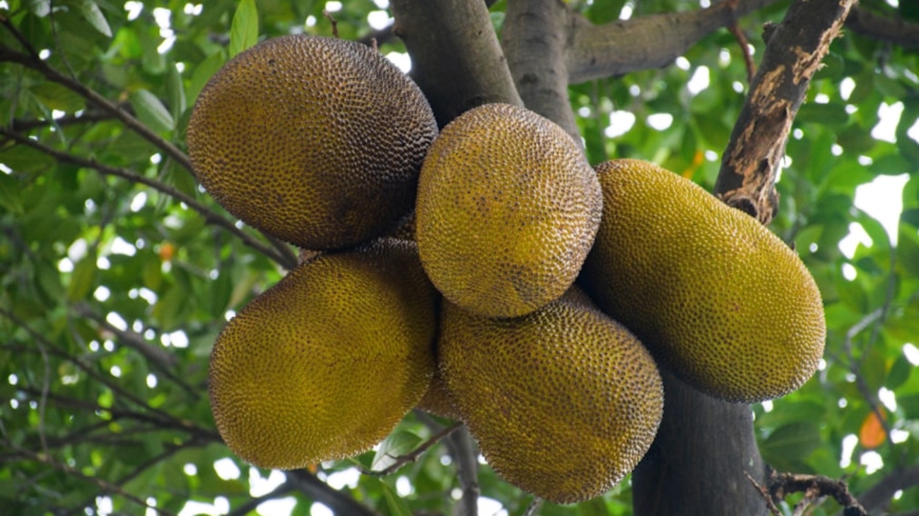 photo-1723358970078-d15c478ffb37