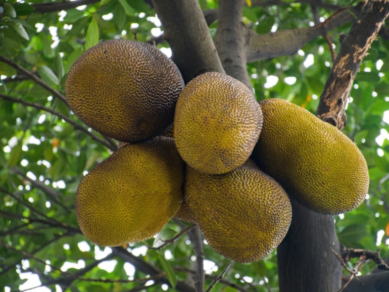 photo-1723358970078-d15c478ffb37