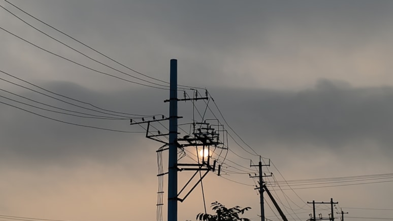 photo-1723614513692-bf4938ced92c