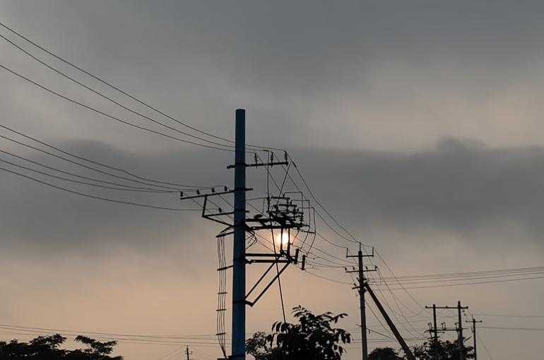 photo-1723614513692-bf4938ced92c