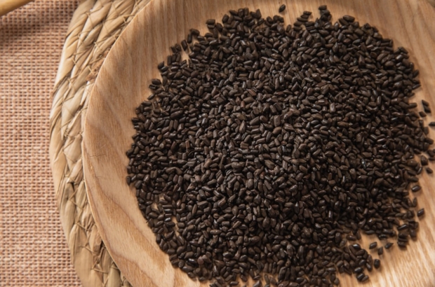 photo-1735011725740-72da19fb2baf