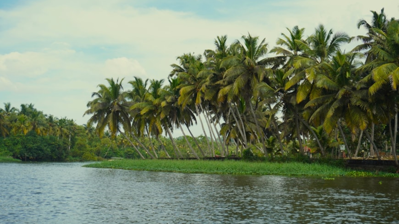 photo-1736099513064-dc772ccc1d81