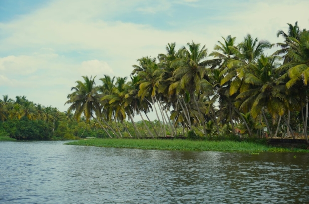 photo-1736099513064-dc772ccc1d81