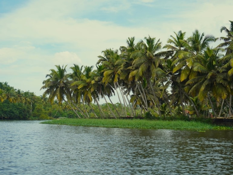 photo-1736099513064-dc772ccc1d81