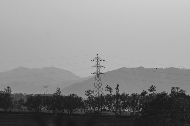 photo-1737137755084-4e780491dc61